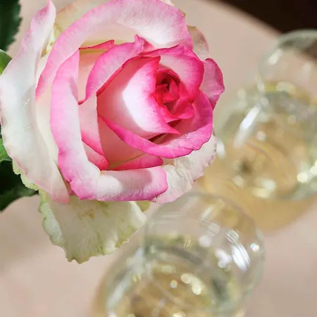 Hotel Seeschloss Sellin (Rugen)