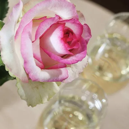 Seeschloss Sellin (Rugen)